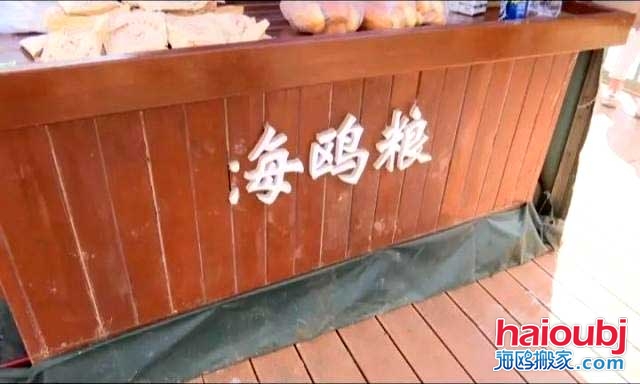 昆明海鷗搬家稱一老板返鄉(xiāng)探病，留下鷗糧供游客投喂結(jié)果出乎意料.jpg